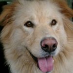 IMGP0081-e1363830861554