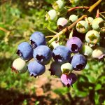 13955173-9ef5-4467-a5e7-ff5fe86c86a8