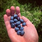 43126e52-70bc-495f-a8d0-7431c7642331