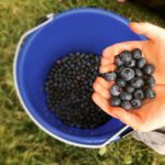 a75d9abf-08bf-4bc3-b6cf-33393566ba5a